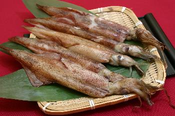 やりいか干し