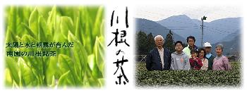 南園製茶