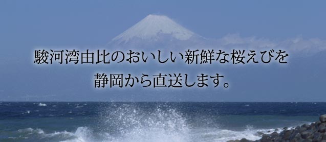 株式会社原浦商店