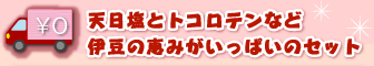 手作り天日塩とトコロテンなど伊豆の恵みいっぱいのセット