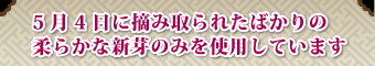 5月4日に摘み取られたばかりの柔らかな新芽のみを使用しています。
