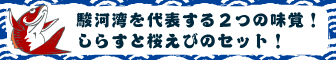 駿河湾を代表する２つの味覚！しらすと桜えびのセット
